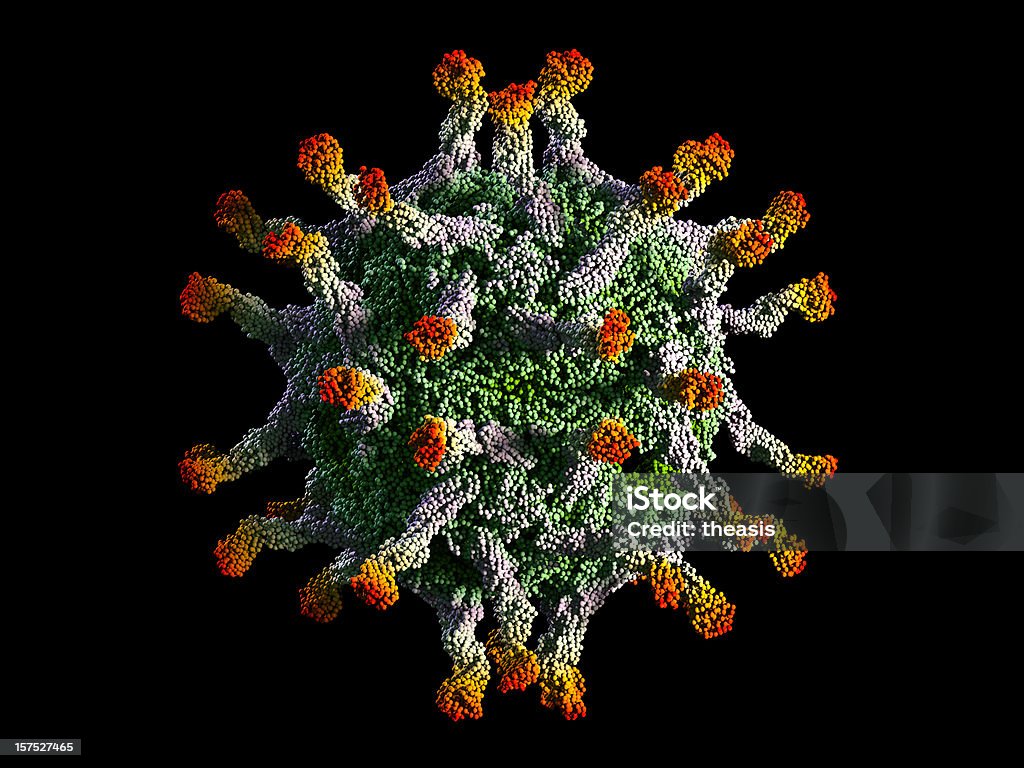 Polio Virus Capsid Model of a polio virus capsid (the green spherical organism) binding to polio virus receptors (the protruding multicoloured molecules).  Isolated on black. Virus Stock Photo