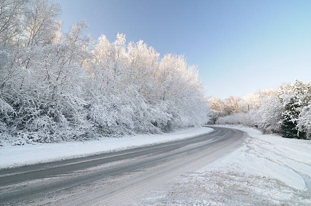 nieleczone drodze z śniegu obciążony tree - pobocze trawiaste zdjęcia i obrazy z banku zdjęć