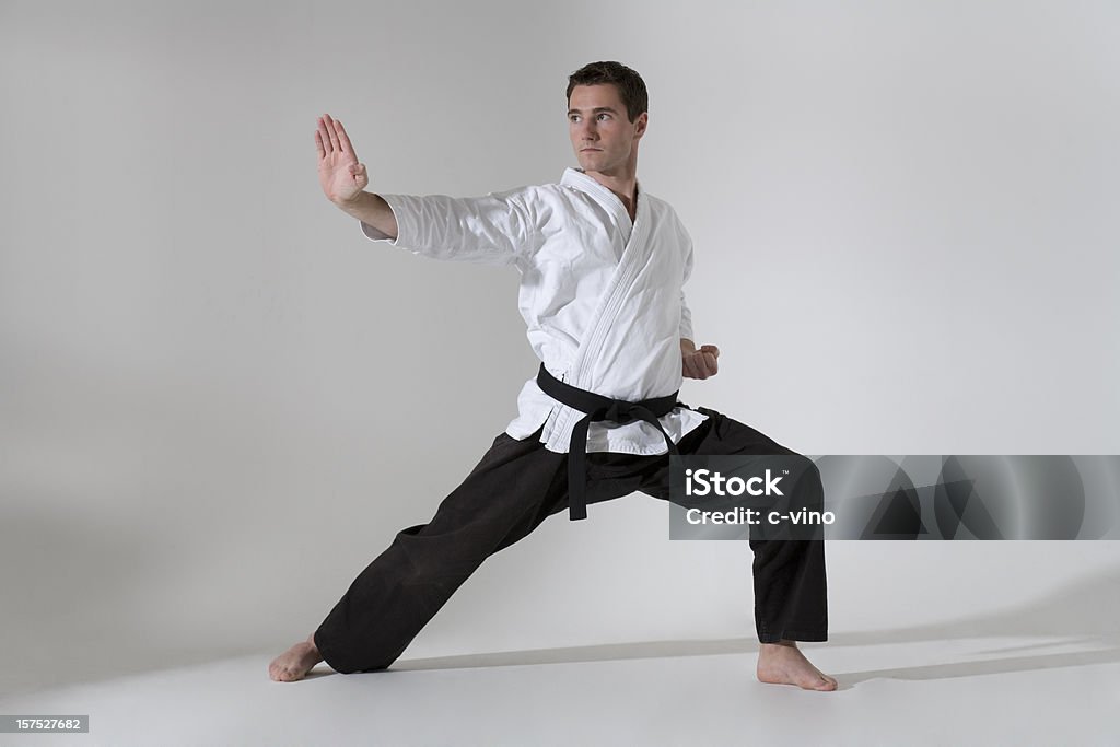 Young Man In A Martial Arts Pose With A Black Belt Stock Photo - Download  Image Now - Karate, Men, Judo - iStock