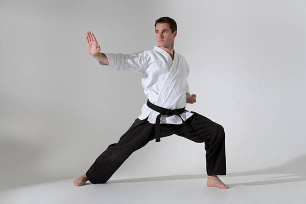 Young man in a martial arts pose with a black belt Young martial artist in defense position kendo stock pictures, royalty-free photos & images