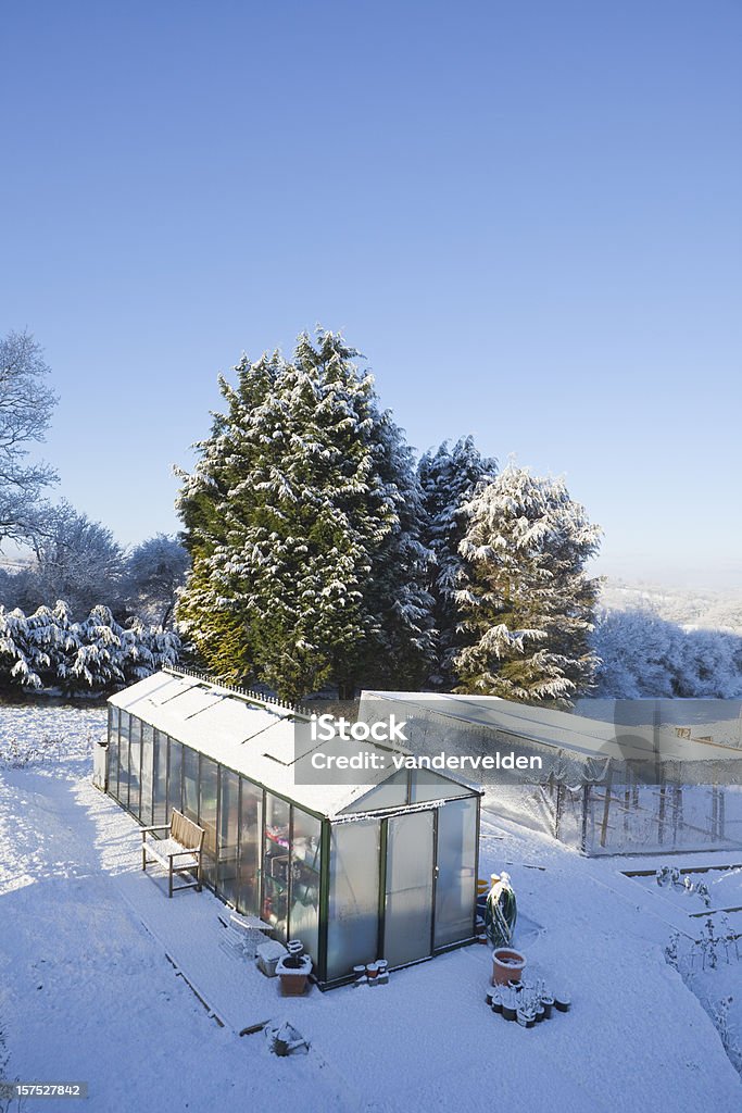 Nívea y refrescante invierno de efecto invernadero - Foto de stock de Invernáculo libre de derechos