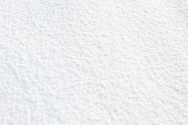 Photo of Fresh Snow Background