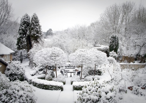 A semi-formal domestic garden under snow.