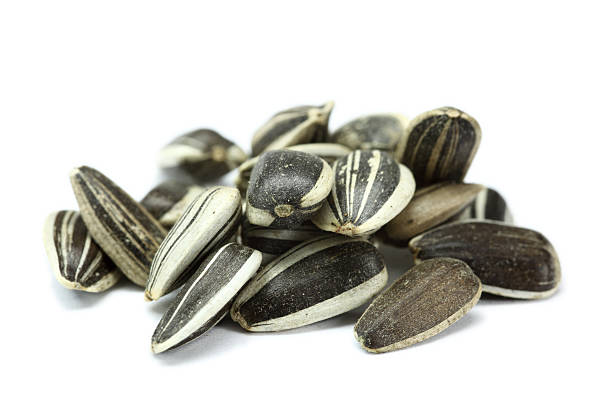 semillas de girasol aislado sobre blanco - sunflower seed fotografías e imágenes de stock