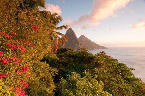 istock Twin Pitons lit by golden sunset glow 157528407