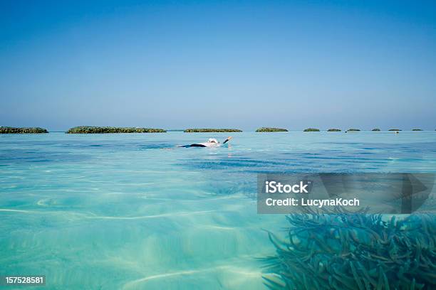Cottonwood Weisser Strand Mit Türkisblauem Wasser Stockfoto und mehr Bilder von Ari-Atoll - Ari-Atoll, Atoll, Blau