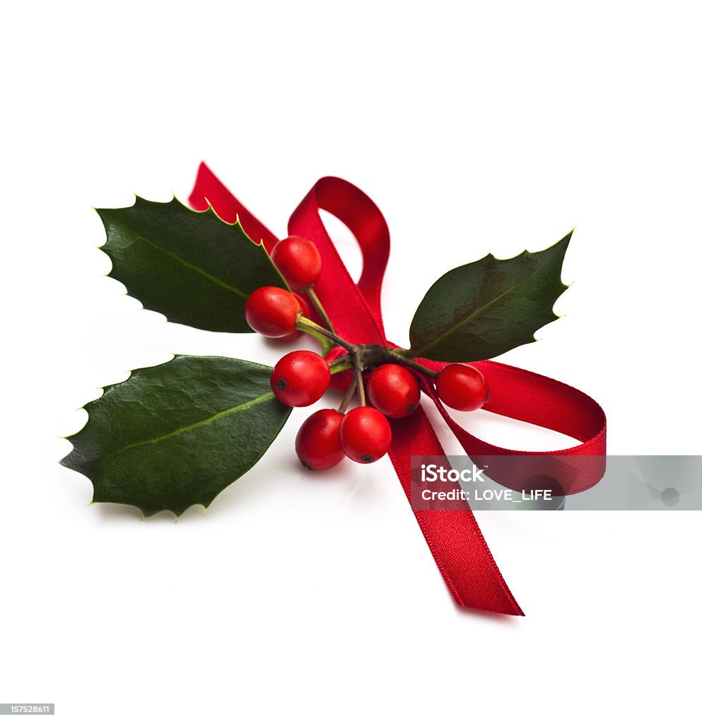 Christmas Holly Christmas Holly with red ribbon, Isolated on white.  Christmas Stock Photo