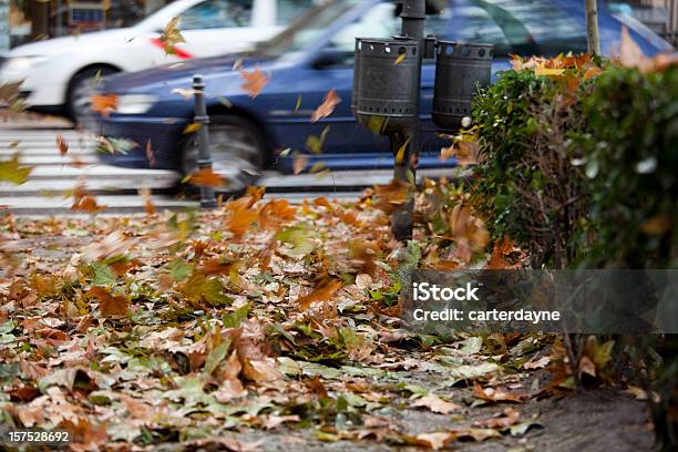 Autumn Leaves Blowing On Windy Cold Day Madrid Spain Stock Photo - Download Image Now