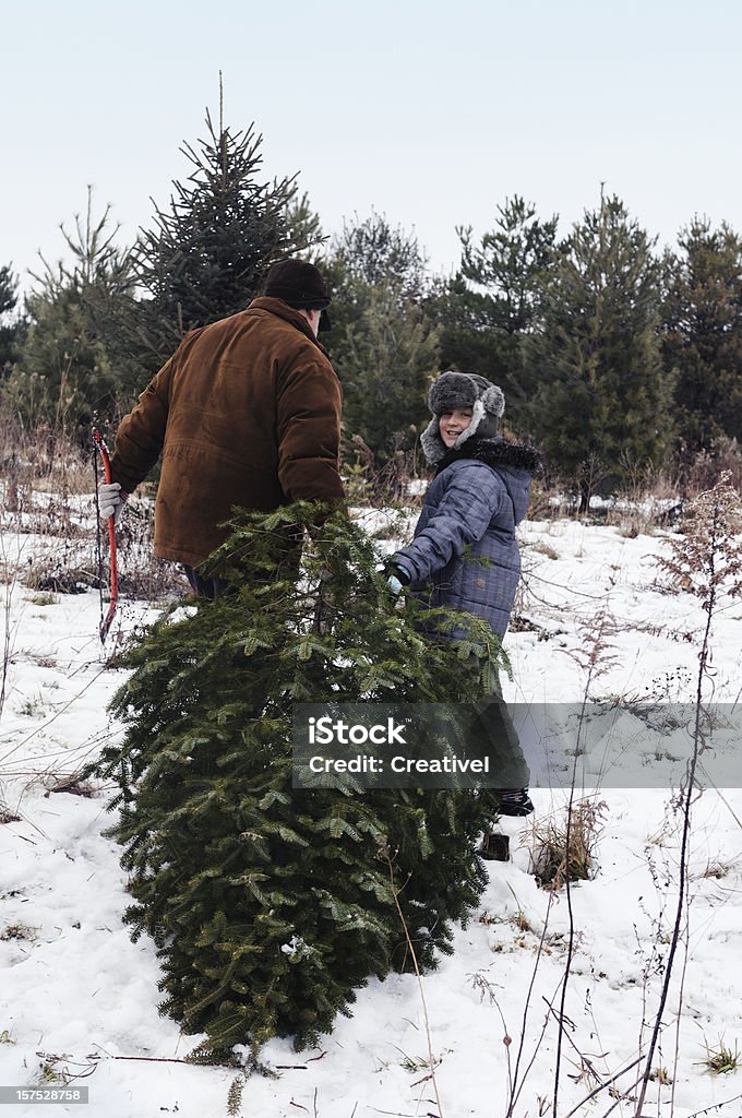 O-Weihnachtsbaum - Lizenzfrei Agrarbetrieb Stock-Foto