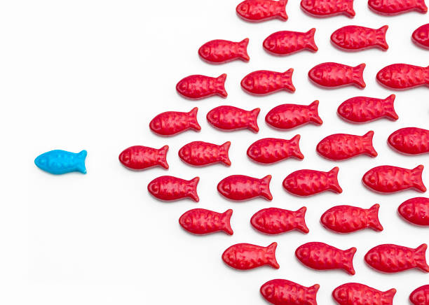 istock Follow the leader 157528854
