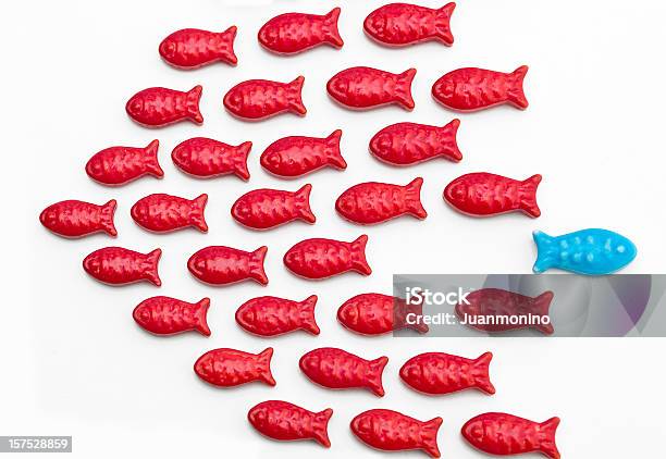 Correr Fora De - Fotografias de stock e mais imagens de Peixe - Peixe, Standing Out From The Crowd (expressão inglesa), Ordem