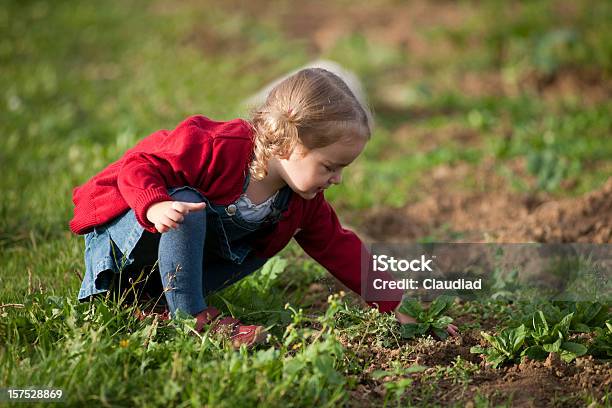 Little Niña Plantación Foto de stock y más banco de imágenes de 2-3 años - 2-3 años, Aire libre, Alegre