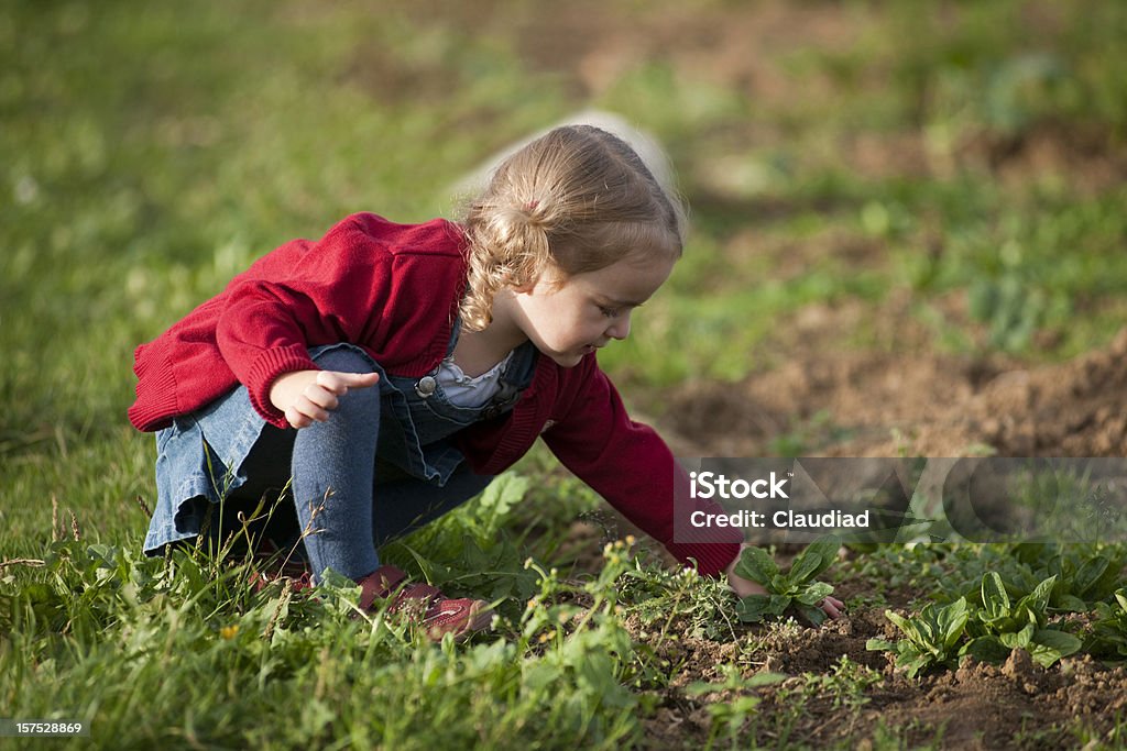 Petite fille Planter - Photo de 2-3 ans libre de droits