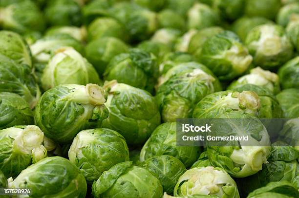 Closeup De Colhidas Couvedebruxelas - Fotografias de stock e mais imagens de Agricultura - Agricultura, Alimentação Saudável, Atividade