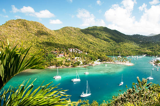 marigot bay, santa lucia - marigot bay foto e immagini stock