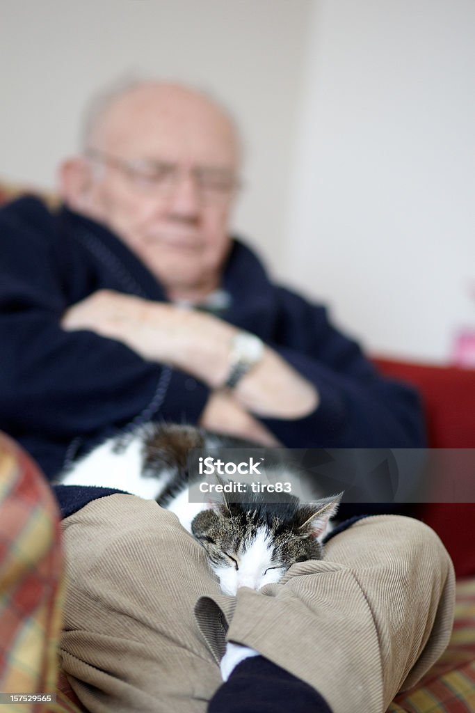 Octogenarian dormire sul divano con un gatto in standby - Foto stock royalty-free di Accogliente