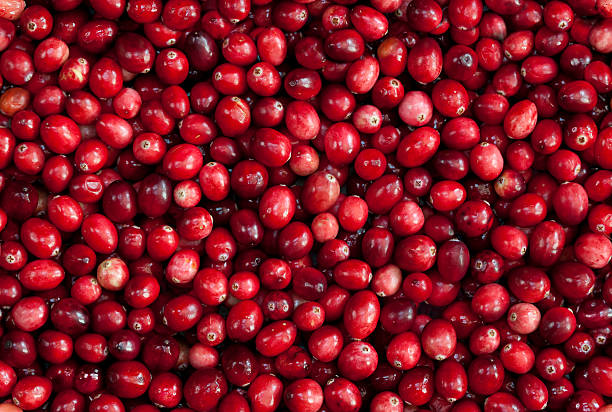 tileable nahtlose rote cranberry obst-hintergrund - cranberry stock-fotos und bilder