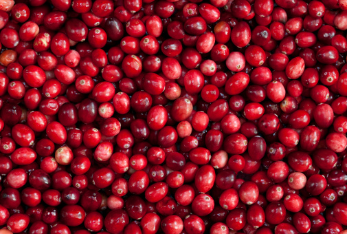 TILEABLE Seamless Red Cranberry Fruit Background