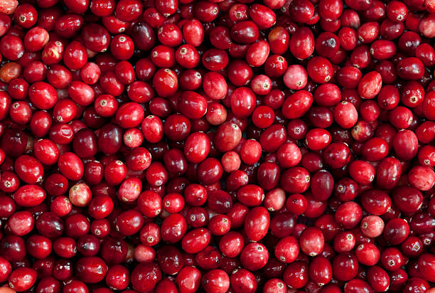 TILEABLE Seamless Red Cranberry Fruit Background  cranberry stock pictures, royalty-free photos & images