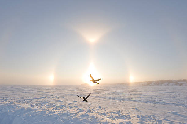 Arctic Sundogs or Parhelion, Northwest territories, Canada stock photo