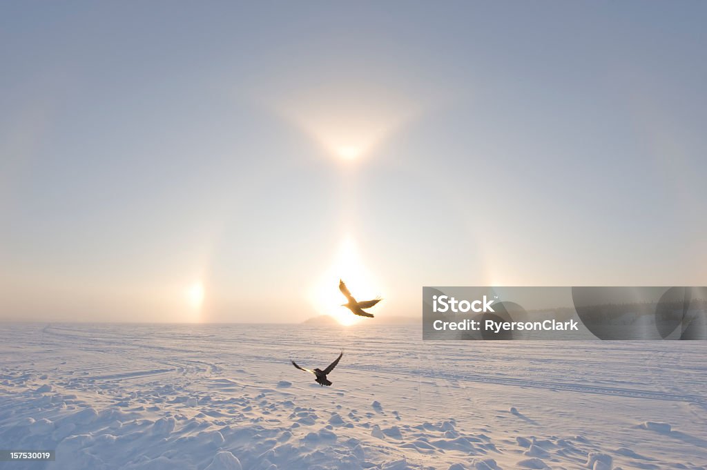 Artic Sundogs ou Parhelion. - Royalty-free Territórios do noroeste Foto de stock