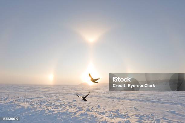 Artic Sundogs Ou Parhelion - Fotografias de stock e mais imagens de Territórios do noroeste - Territórios do noroeste, Canadá, Ártico