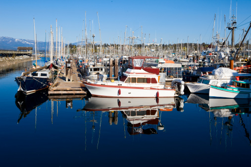 Comox Harbor, Vancouver Island, British Columbia