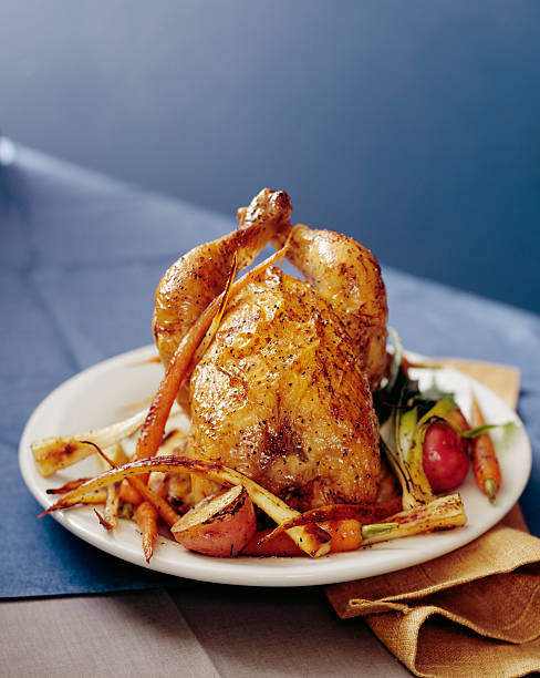 istock Roasted chicken with carrots, parsnips and potatoes. 157530252