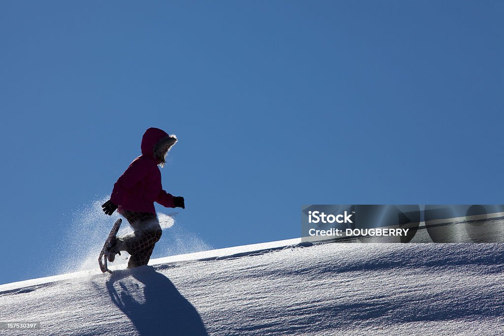 Caminhadas com raquetes de neve - Foto de stock de Alegria royalty-free