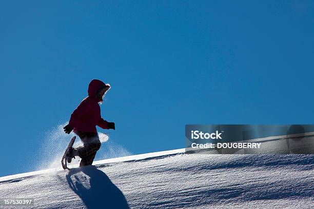 Foto de Caminhadas Com Raquetes De Neve e mais fotos de stock de Alegria - Alegria, Atividade, Atividade Recreativa