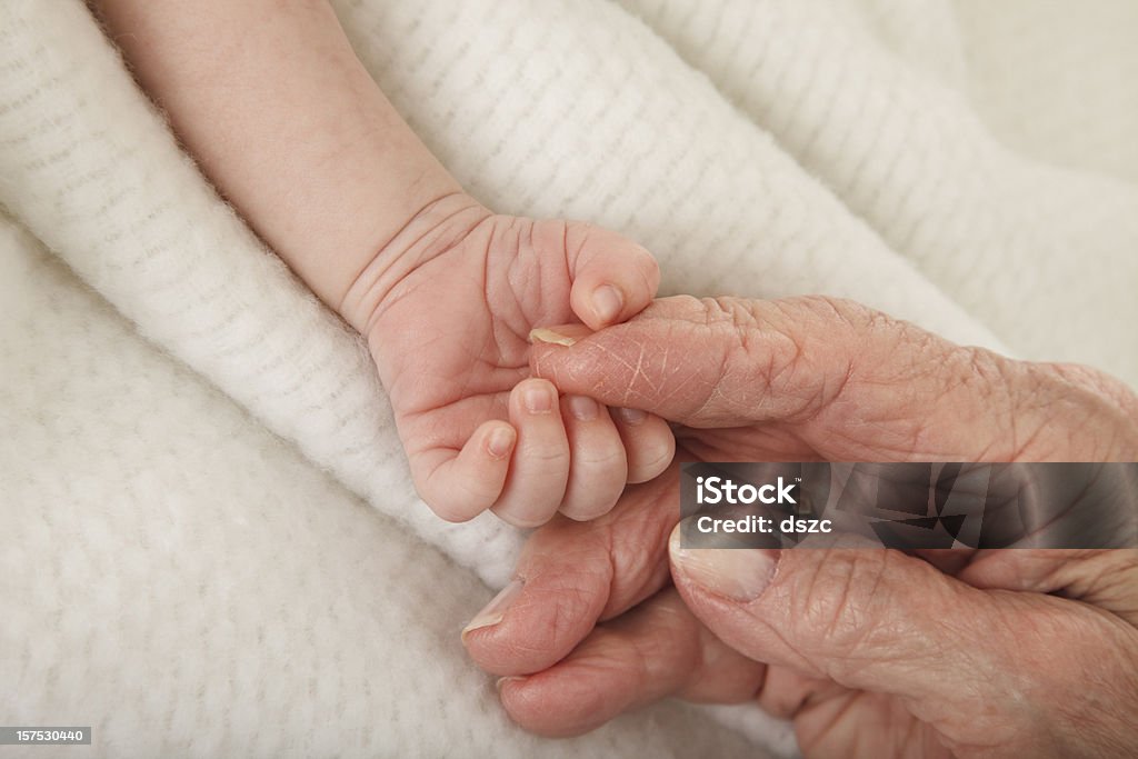 newborn baby holding great grandmother's hand Baby - Human Age Stock Photo