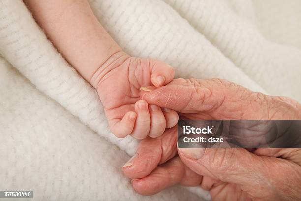 Newborn Baby Holding Great Grandmothers Hand Stock Photo - Download Image Now - Baby - Human Age, Over 100, Holding