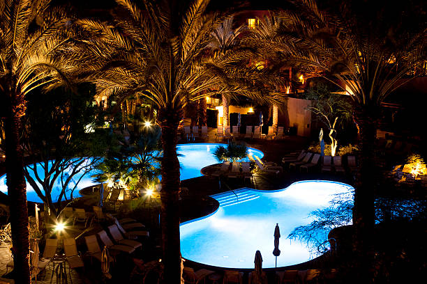 istock Resort Pools At Night With Palm Trees 157530801