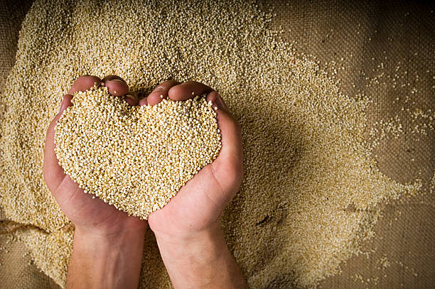 orgánicos en forma de corazón nutritivas quinua conjunto de manos granulado - quinua fotografías e imágenes de stock