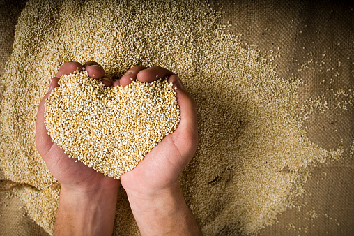 Quinoa superfood organic whole grain in cupped hands with copy-space.