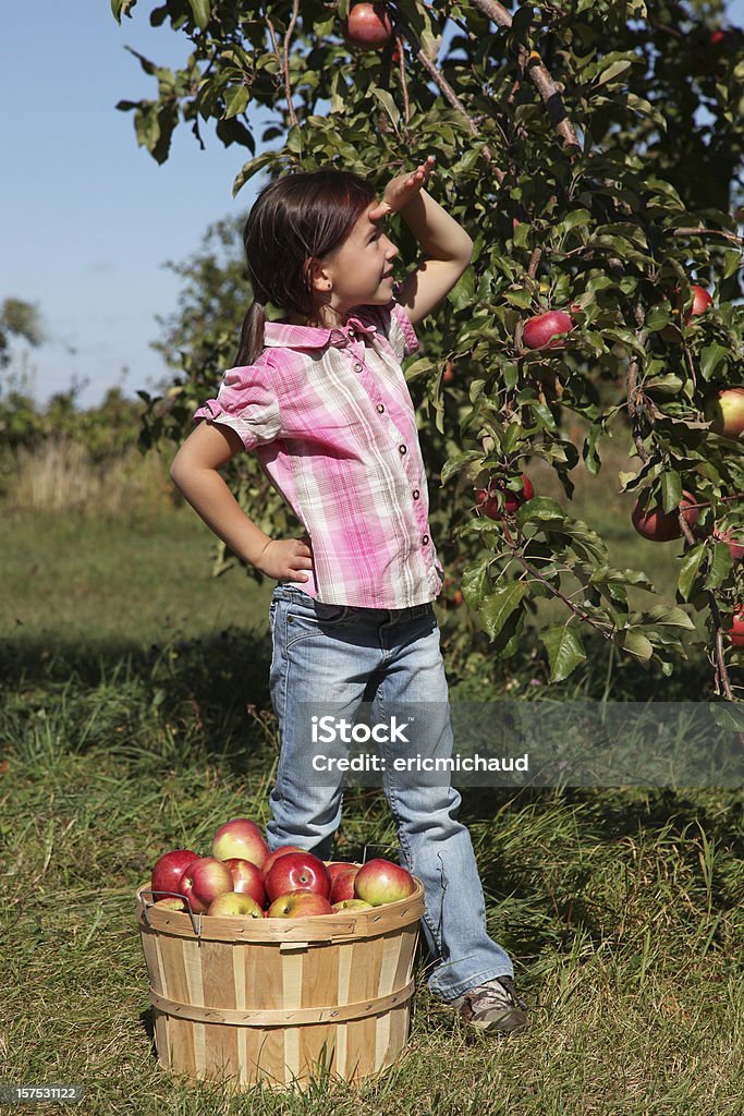 Chica en un orchard - Foto de stock de 4-5 años libre de derechos