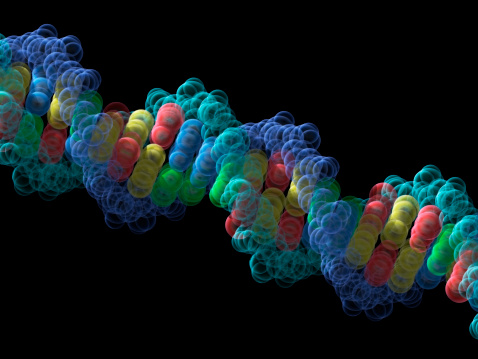 A model of a strand of DNA. Isolated on black.