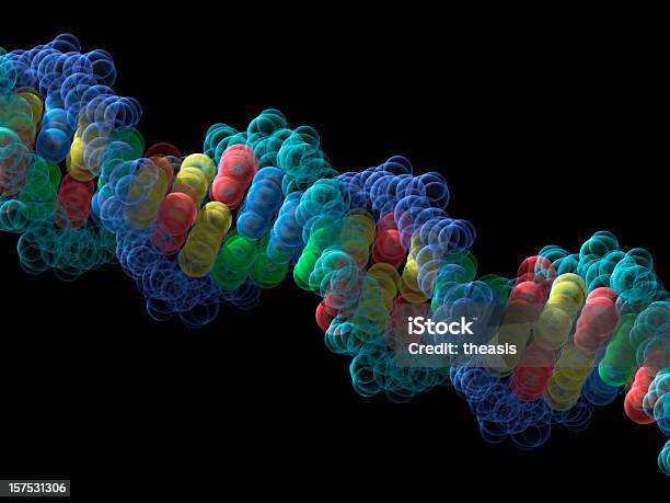 Model Cząsteczki Dna - zdjęcia stockowe i więcej obrazów DNA - DNA, Spirala - Figura geometryczna, Model helisy