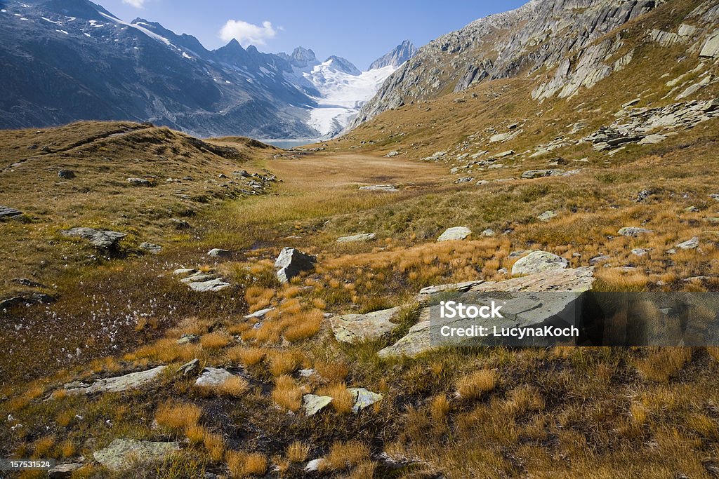 Oberaargletscher - Lizenzfrei Moor - Feuchtgebiet Stock-Foto