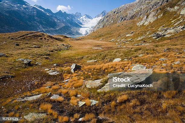 Oberaargletscher Stockfoto und mehr Bilder von Moor - Feuchtgebiet - Moor - Feuchtgebiet, Moor - Grasland, Schweiz