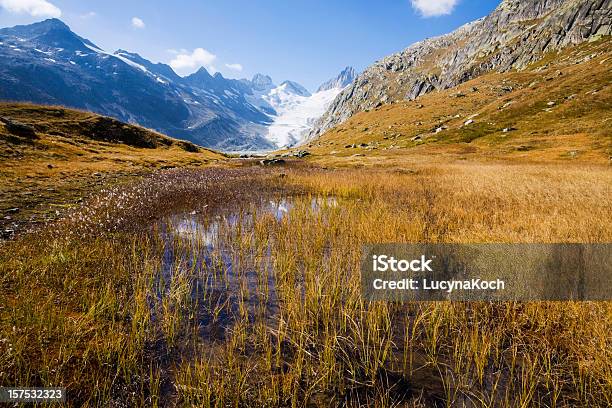 Oberaargletscher Stockfoto und mehr Bilder von Alpen - Alpen, Berg, Bergpass
