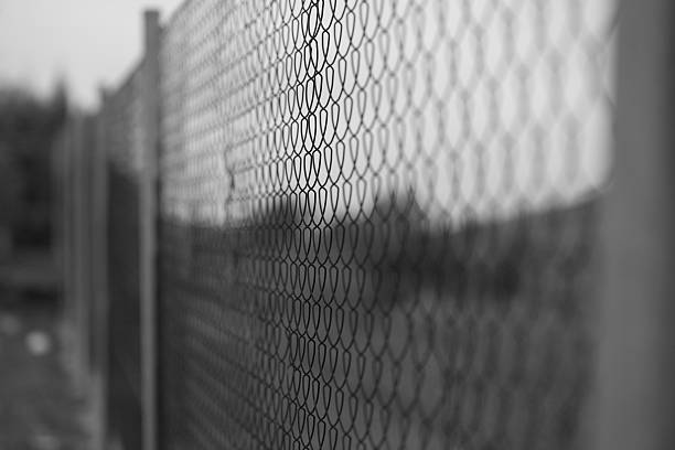 Free Stock Photo of Chain Link Fence in Black and White | Download Free ...