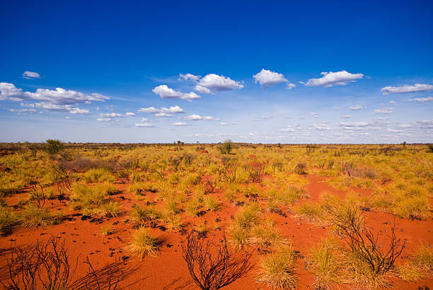 outback paysage - red earth photos et images de collection