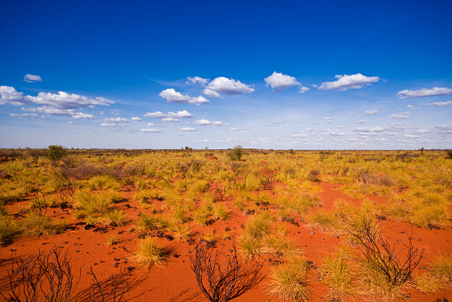 Outback landscape showing the blue sky and orange sands