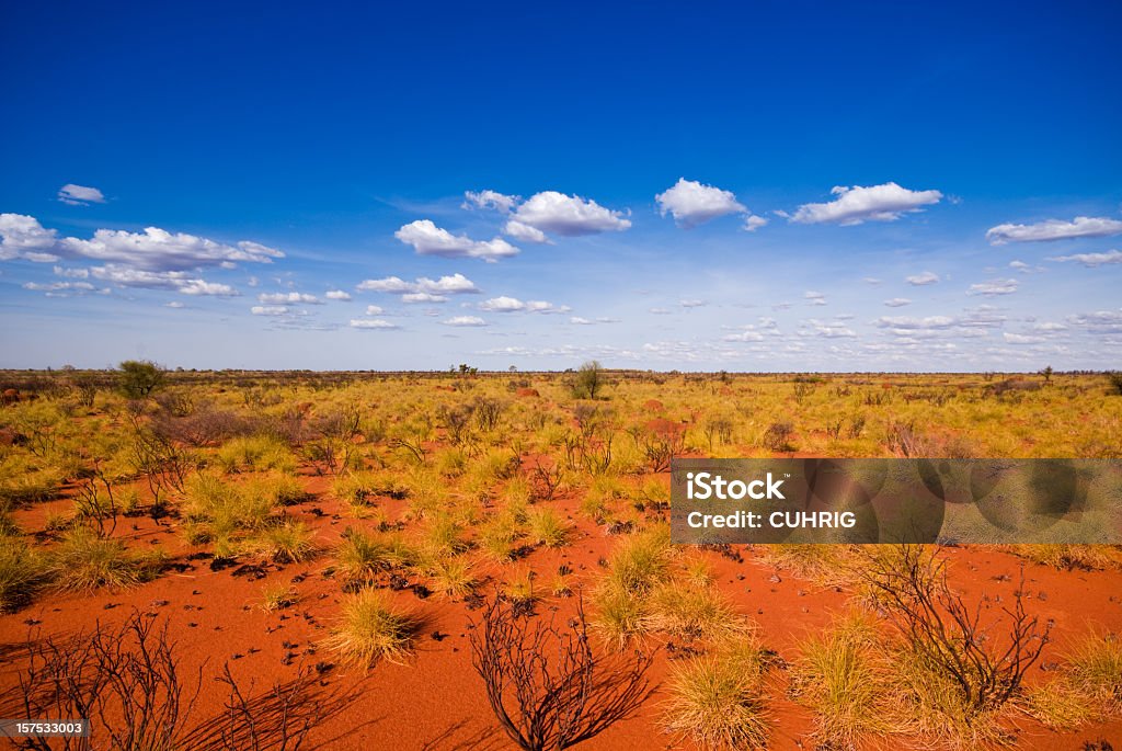 Outback landscape showing the blue sky and orange sands red soil spinnifex grass, blue sky, clouds and a lot of nothing Outback Stock Photo