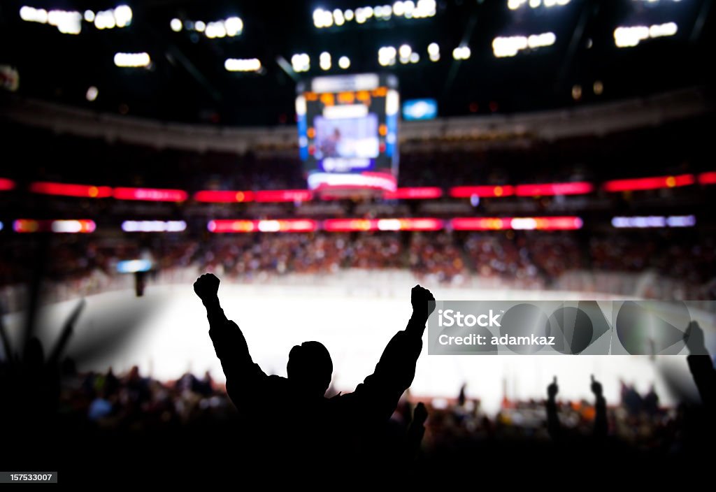 Eccitazione di Hockey - Foto stock royalty-free di Fan