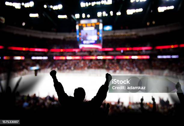 Eccitazione Di Hockey - Fotografie stock e altre immagini di Fan - Fan, Stadio, Hockey su ghiaccio