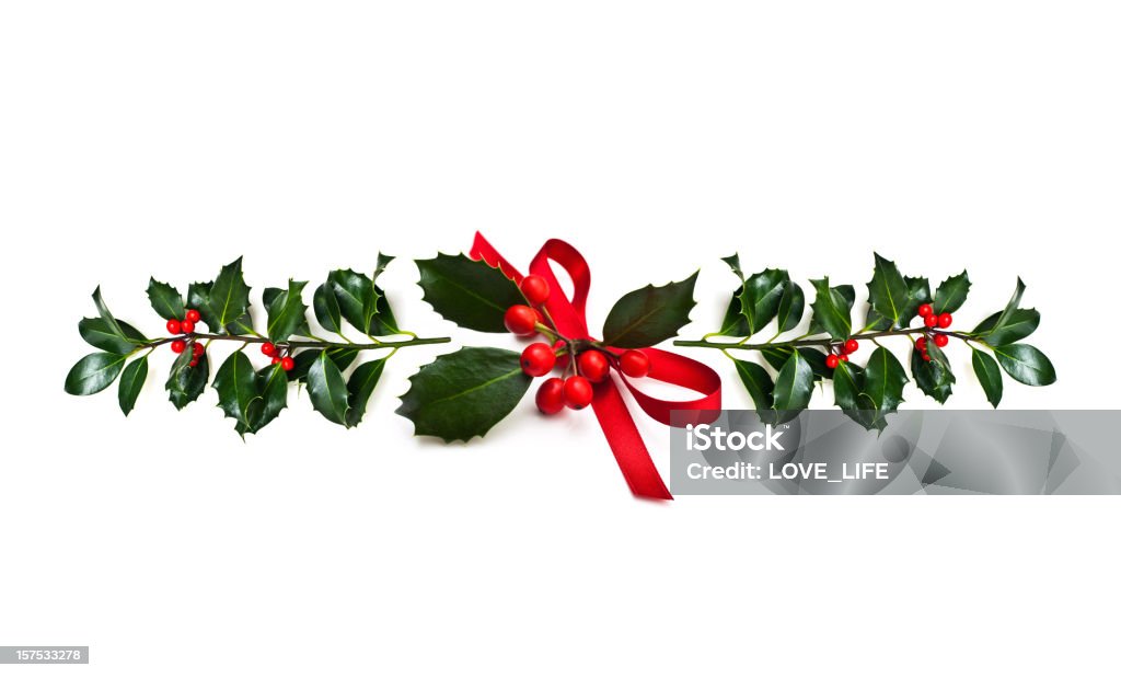 Natale Agrifoglio - Foto stock royalty-free di Natale