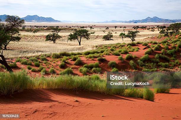 Naukluftfilm Title Stockfoto und mehr Bilder von Naturreservat Namib Rand - Naturreservat Namib Rand, Namibia, Niemand