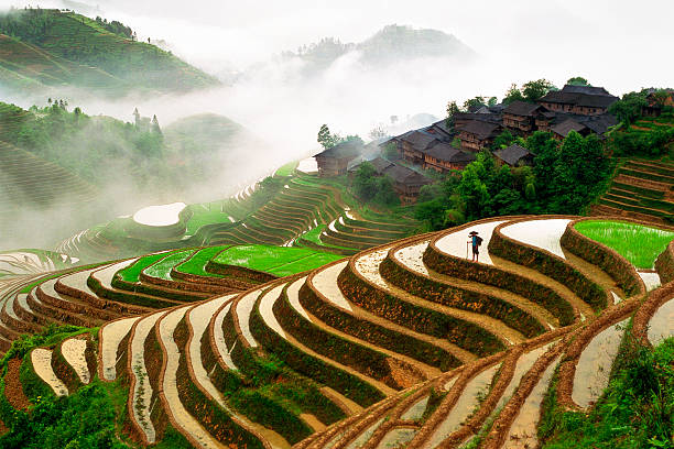 Rice Terraces Rice Terraces and farming village in Longsheng, Guangxi province, China. rice paddy stock pictures, royalty-free photos & images